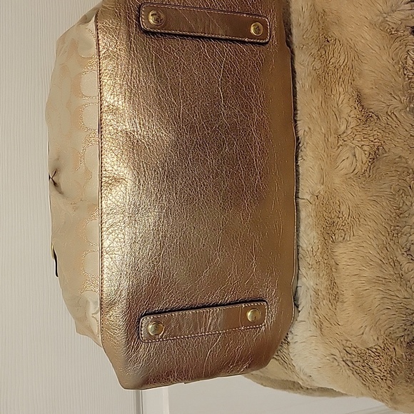 Coach - Picture 5 of 6